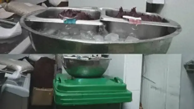 记者卧底鲜芋仙:后厨虫子自由飞翔