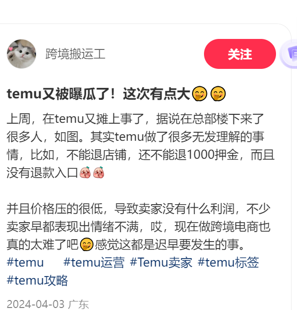 拼多多和temu赢了,中国商家却输惨了