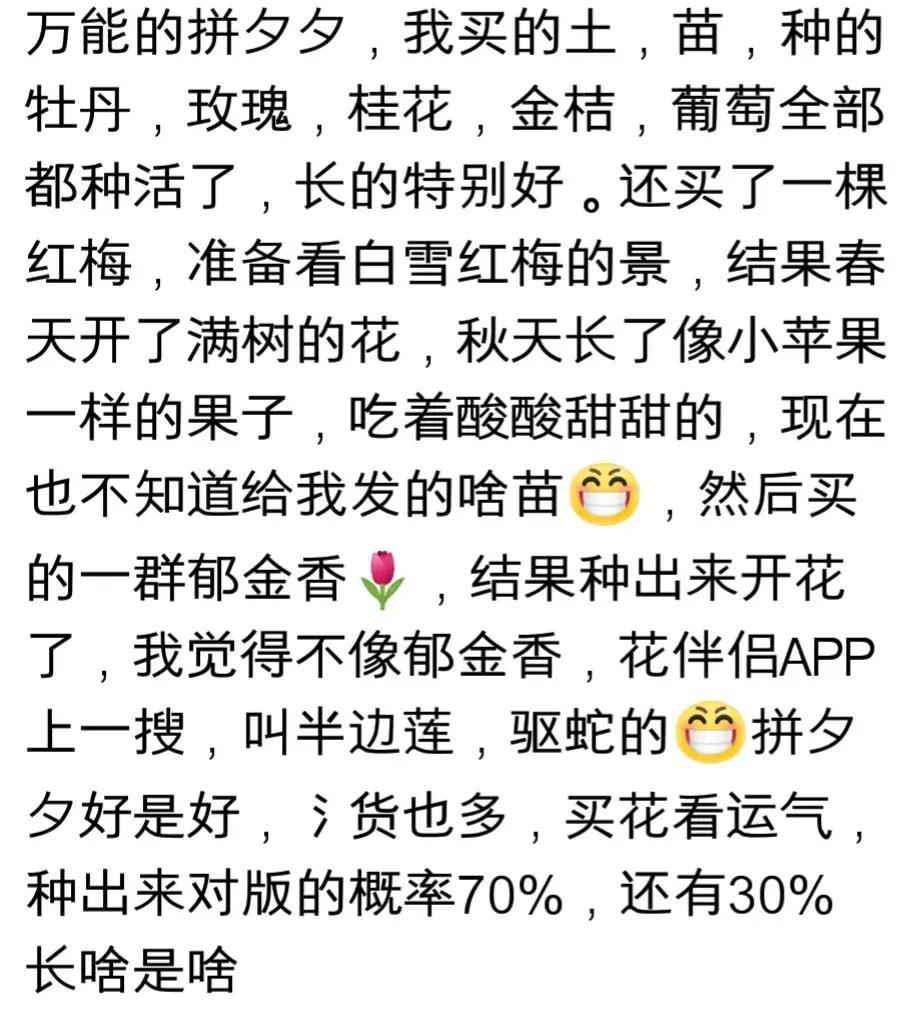 网购越来越离谱,现在的电商已经发展到这种地步了吗?
