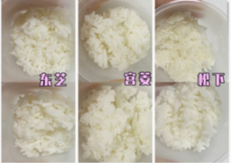东芝、宫菱、松下电饭煲怎么样?真实无广测评性能王者