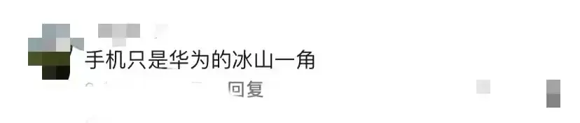 孟晚舟:华为十年研发投入超1万亿冲水热搜,评论区沦陷了
